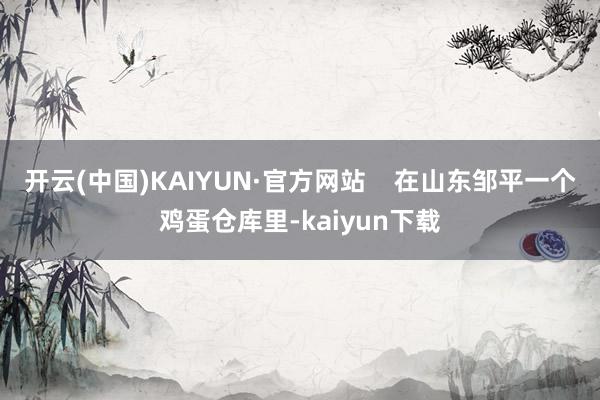 开云(中国)KAIYUN·官方网站    在山东邹平一个鸡蛋仓库里-kaiyun下载