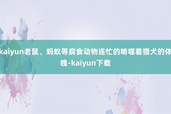 kaiyun老鼠、蚂蚁等腐食动物连忙的啃噬着猎犬的体魄-kaiyun下载