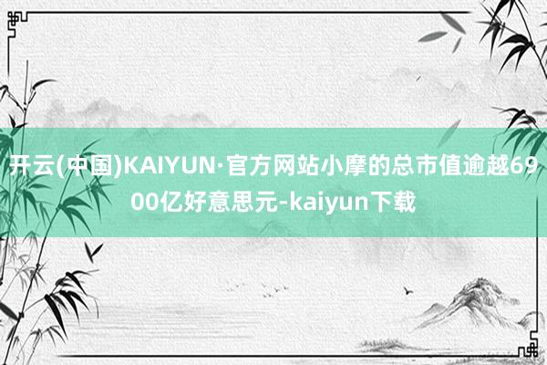 开云(中国)KAIYUN·官方网站小摩的总市值逾越6900亿好意思元-kaiyun下载