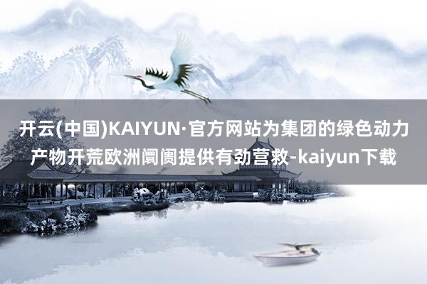 开云(中国)KAIYUN·官方网站为集团的绿色动力产物开荒欧洲阛阓提供有劲营救-kaiyun下载