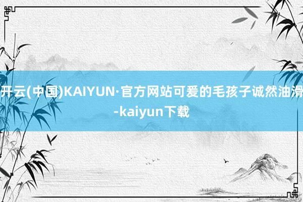 开云(中国)KAIYUN·官方网站可爰的毛孩子诚然油滑-kaiyun下载