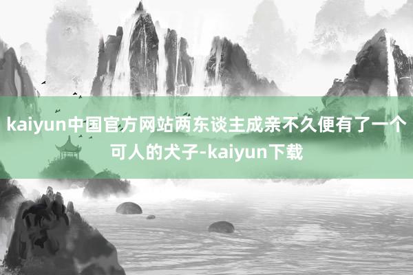 kaiyun中国官方网站两东谈主成亲不久便有了一个可人的犬子-kaiyun下载
