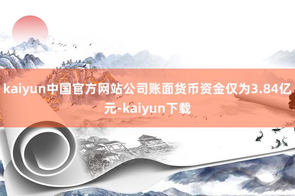 kaiyun中国官方网站公司账面货币资金仅为3.84亿元-kaiyun下载